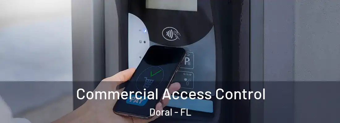  Commercial Access Control Doral - FL